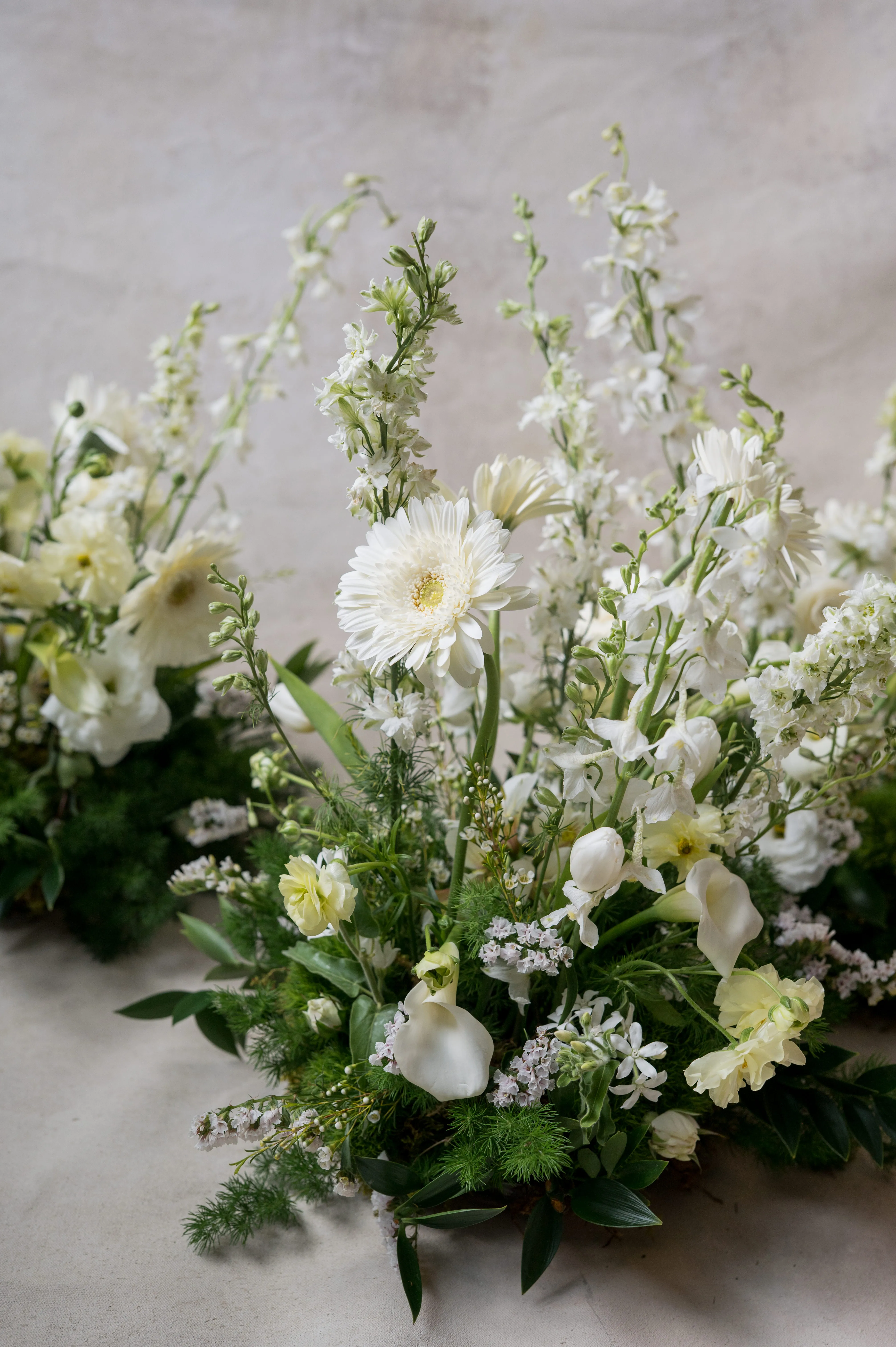 White garden arrangement of calla lilies, larkspur, gerberas and ranunculus casting long shadows on a plaster backdrop.
