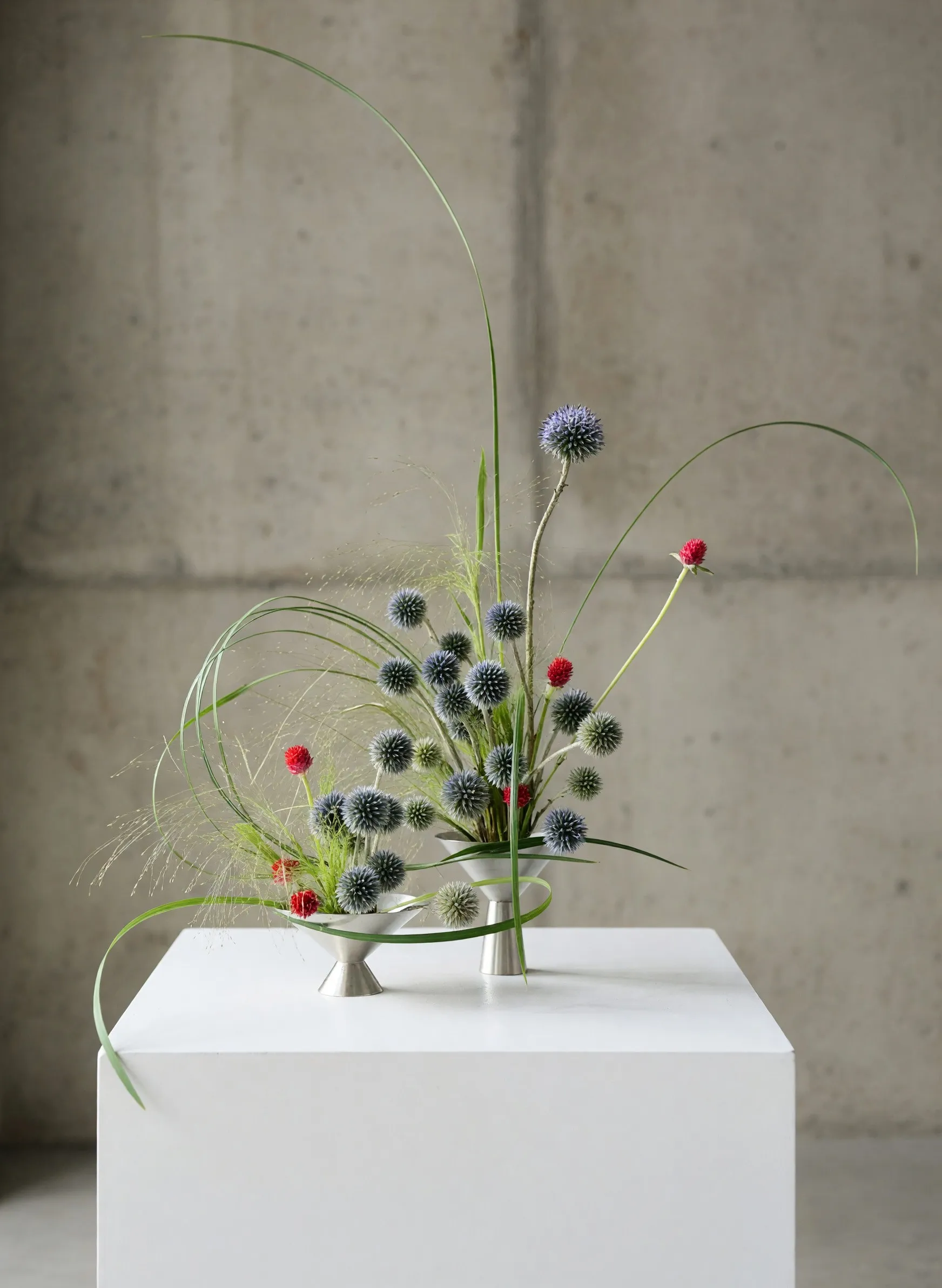 Sculptural arrangement of blue globe thistle, red gomphrena and arcing grasses in silver ikebana vessels on a white pedestal.