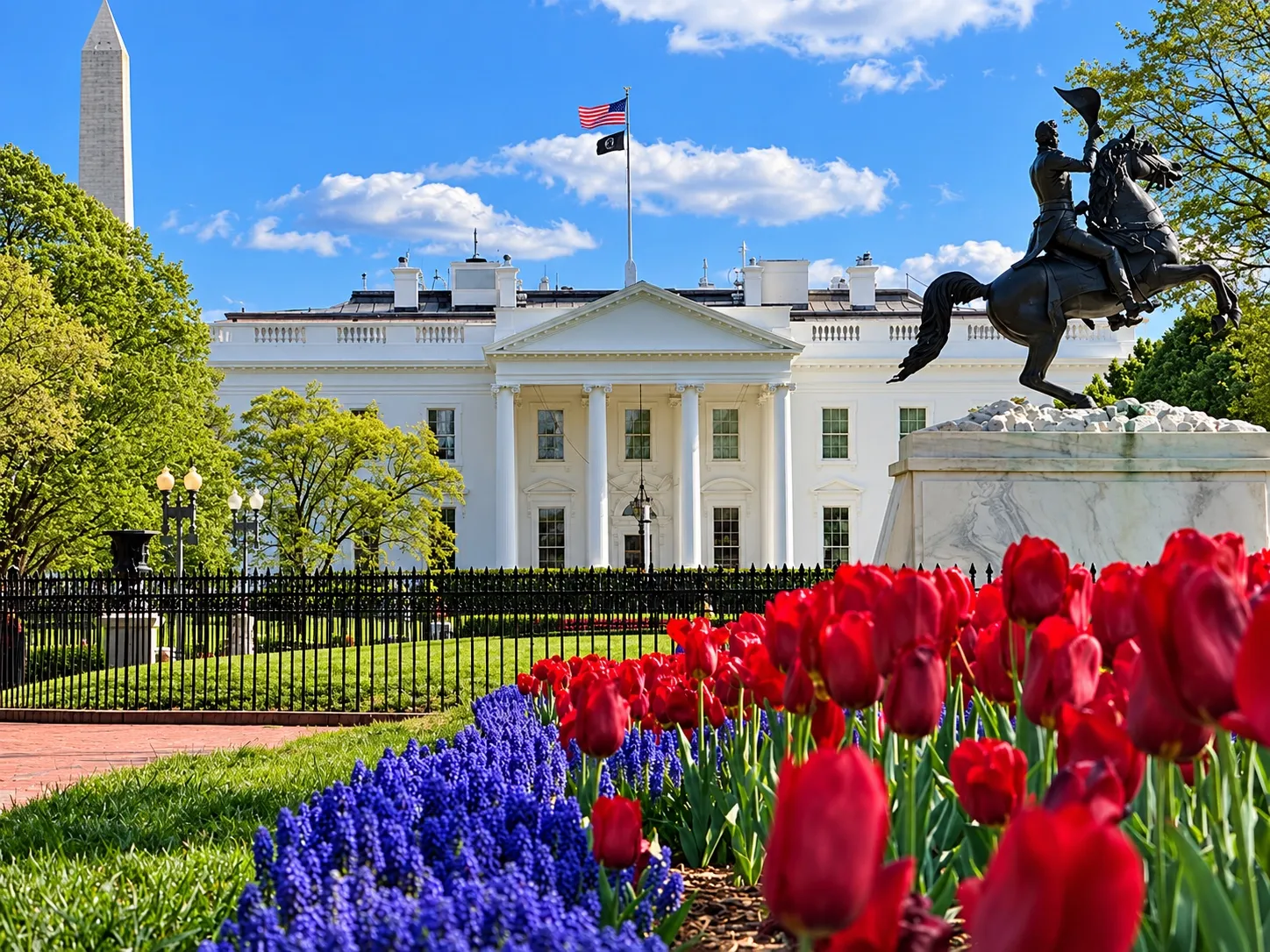 The White House north facade beyond red tulips, blue grape hyacinth and the Jackson statue.
